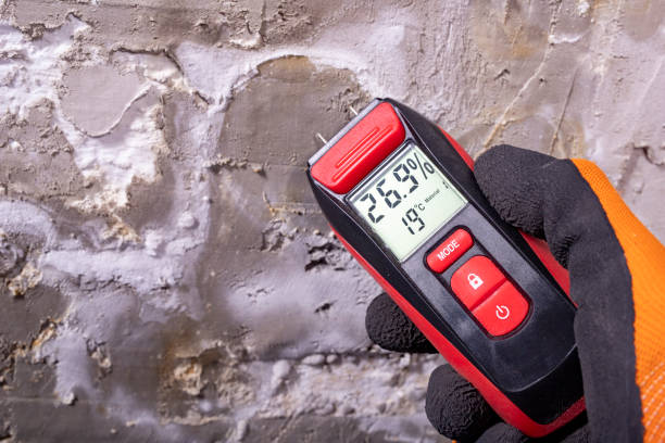 Best Certified Mold Removal  in Frontenac, KS