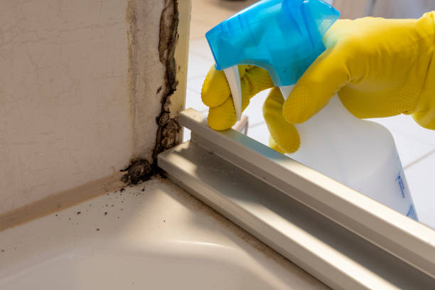 Best Residential Mold Removal  in Frontenac, KS