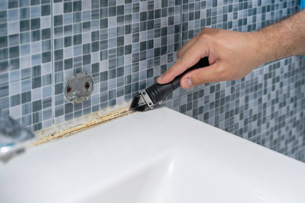 Best Mold Removal Company Near Me  in Frontenac, KS