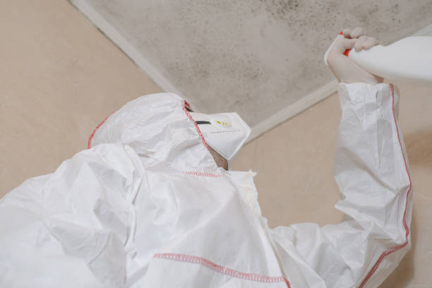 Best Professional Mold Removal  in Frontenac, KS