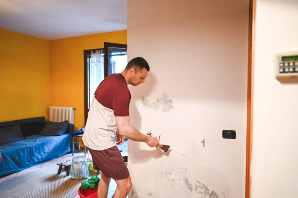 Reliable Frontenac, KS Mold Removal Solutions