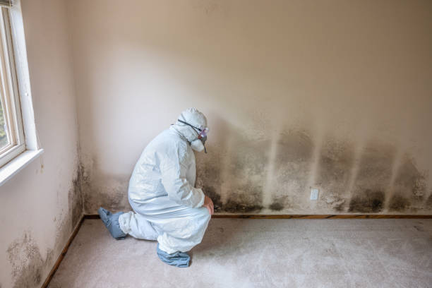 Best Mold Cleaning Services  in Frontenac, KS
