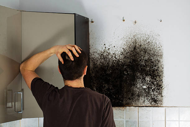Best Crawl Space Mold Removal  in Frontenac, KS